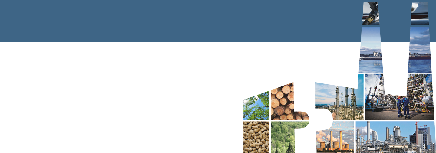 Bioenergy Retrofits for Europe’s Industry