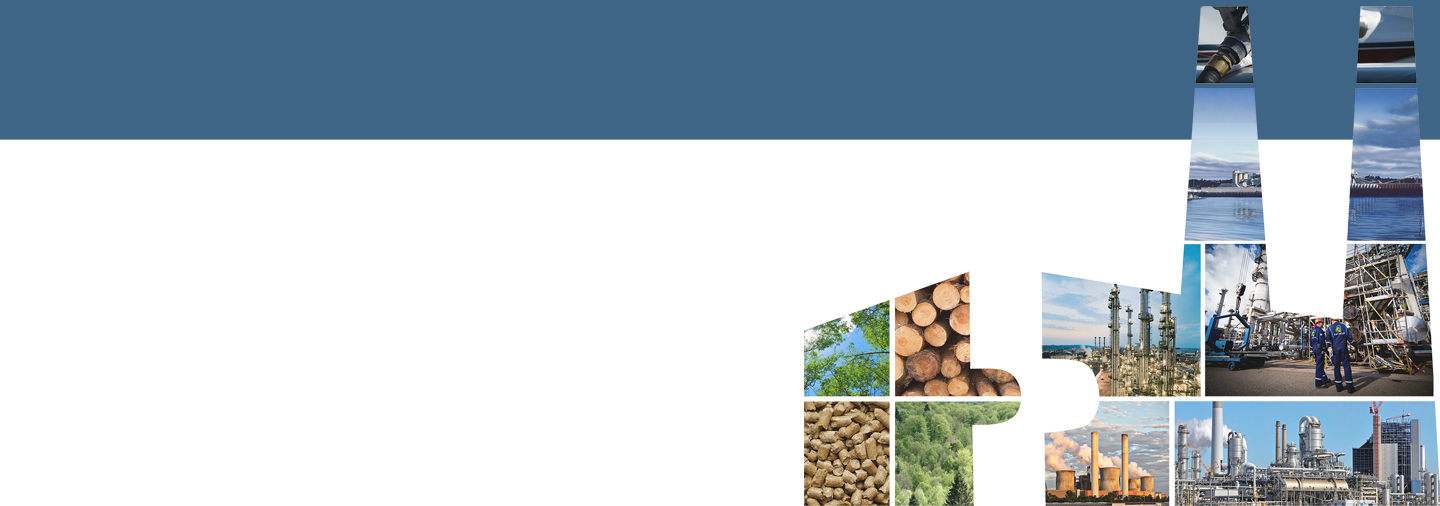 Bioenergy Retrofits for Europe’s Industry